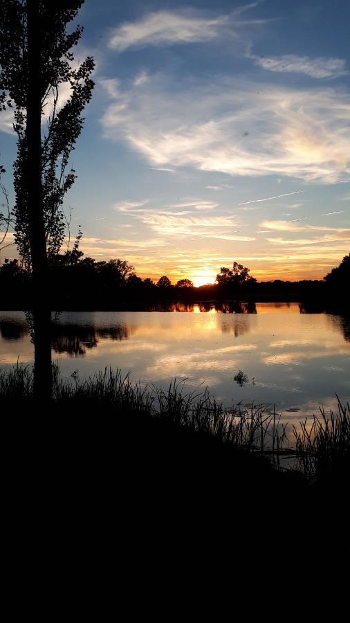 Ferienwohnung Matthisson Oranienbaum-Woerlitz Zewnętrze zdjęcie